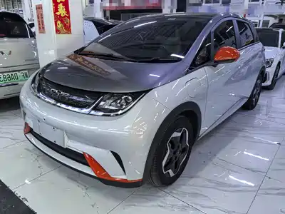 BYD Dolphin 2023