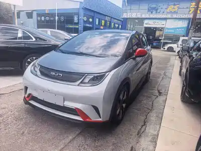 BYD Dolphin 2022