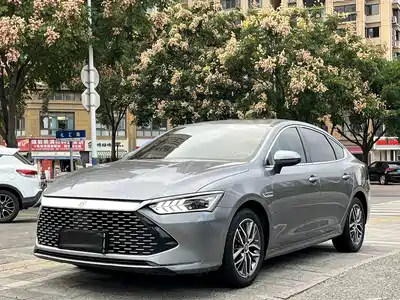 BYD Qin PLUS 2021