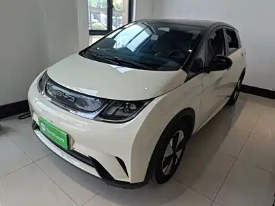 BYD Dolphin 2023