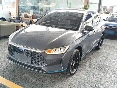 BYD e2 2021
