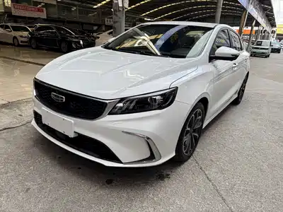 Geely Binrui 2021