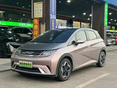BYD Dolphin 2021