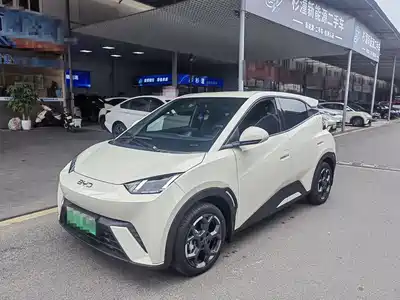 BYD Seagull 2025
