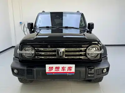 Tank 300 2024