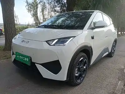 BYD Seagull 2026