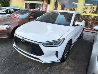 BYD e2 2020