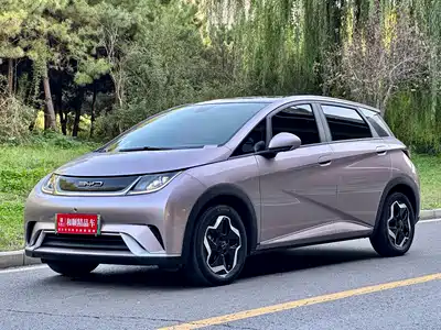 BYD Dolphin 2022