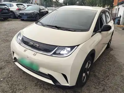 BYD Dolphin 2024