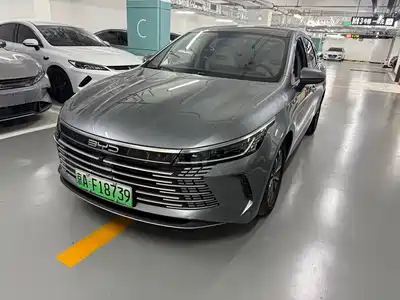 BYD Destroyer 05 2024