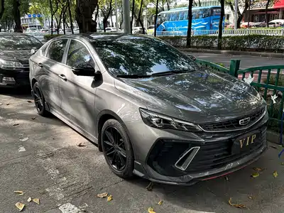 Geely Binrui 2022