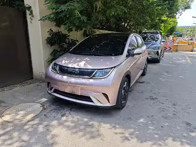 BYD Dolphin 2021