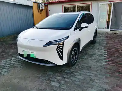 GAC Aion Y Plus 2024