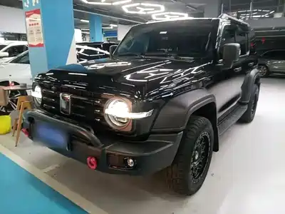 Tank 300 2024
