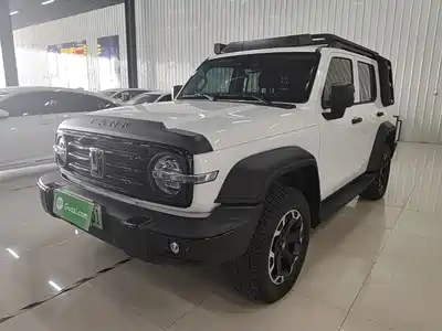 Tank 300 New Energy 2025