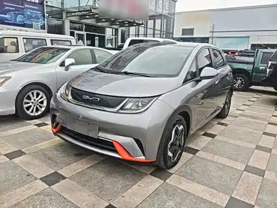 BYD Dolphin 2023