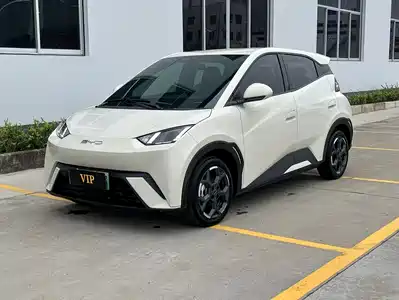 BYD Seagull 2024