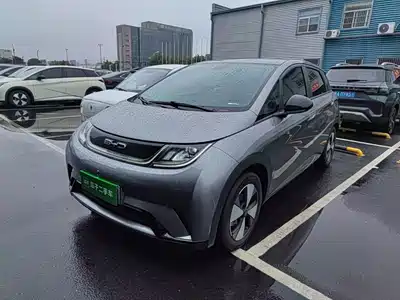 BYD Dolphin 2024