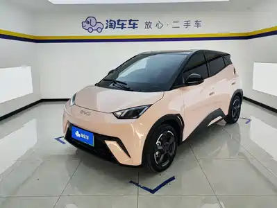 BYD Seagull 2024