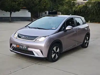 BYD Dolphin 2024