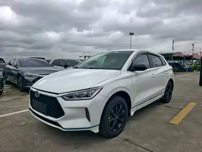 BYD e2 2021