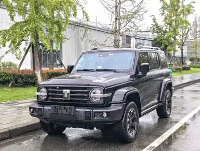 Tank 300 New Energy 2024