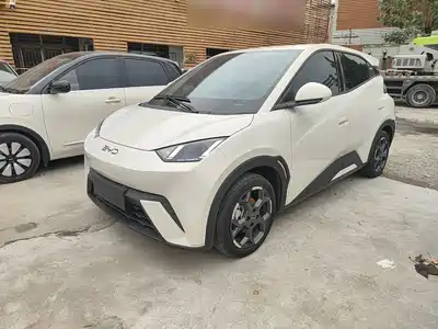 BYD Seagull 2025