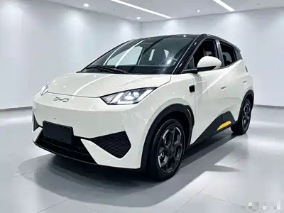 BYD Seagull 2025