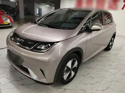 BYD Dolphin 2024