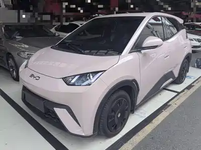 BYD Seagull 2024