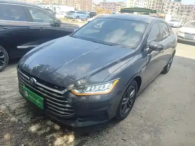 BYD Qin Pro 2021