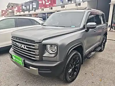 Haval Meng Long NEV 2025