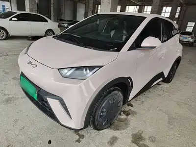 BYD Seagull 2024