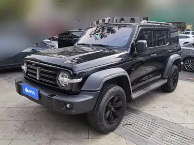 Tank 300 2021