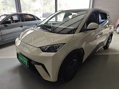 BYD Seagull 2025