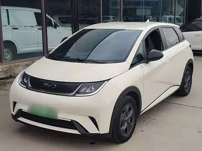 BYD Dolphin 2024
