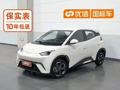 BYD Seagull 2024