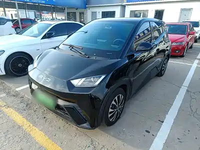 BYD Seagull 2024