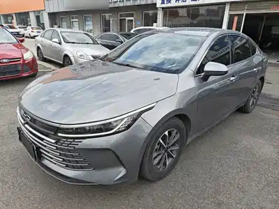 BYD Destroyer 05 2024