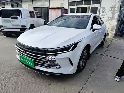 BYD Destroyer 05 2024