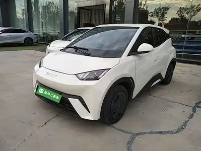 BYD Seagull 2024