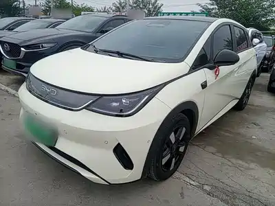 BYD Dolphin 2026
