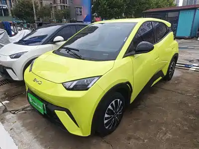 BYD Seagull 2024