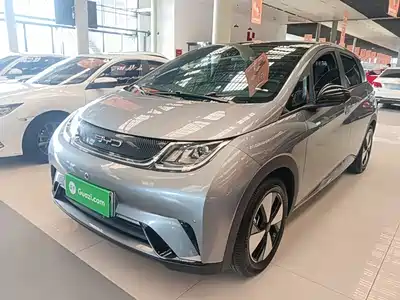 BYD Dolphin 2024