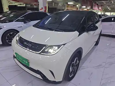 BYD Dolphin 2022