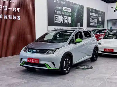 BYD Dolphin 2022