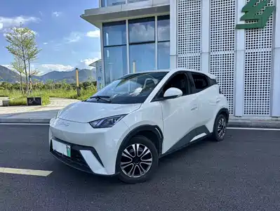 BYD Seagull 2024
