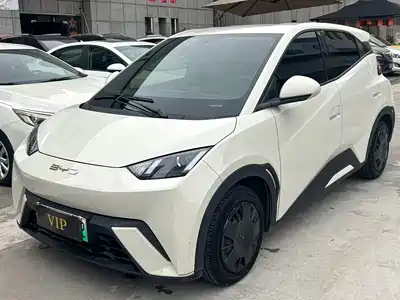 BYD Seagull 2024