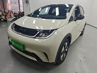 BYD Dolphin 2025