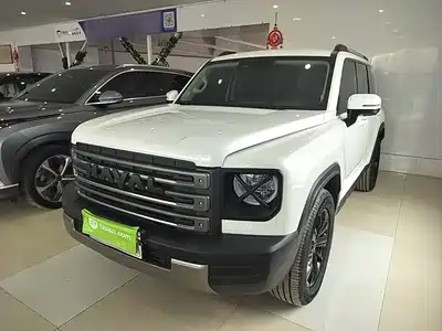 Haval Meng Long NEV 2025